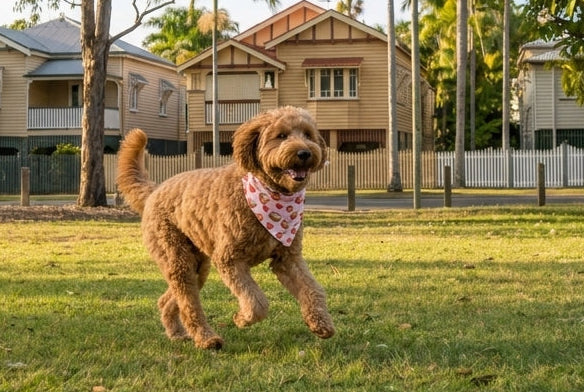 Berry Breakfast Dog Bandana