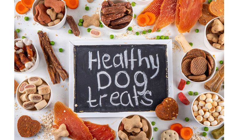 Foods best for bone health in dogs