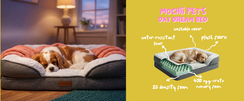 Do Dogs Sleep Better on Memory Foam Beds?