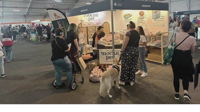 A weekend Celebrating Dogs and their Humans