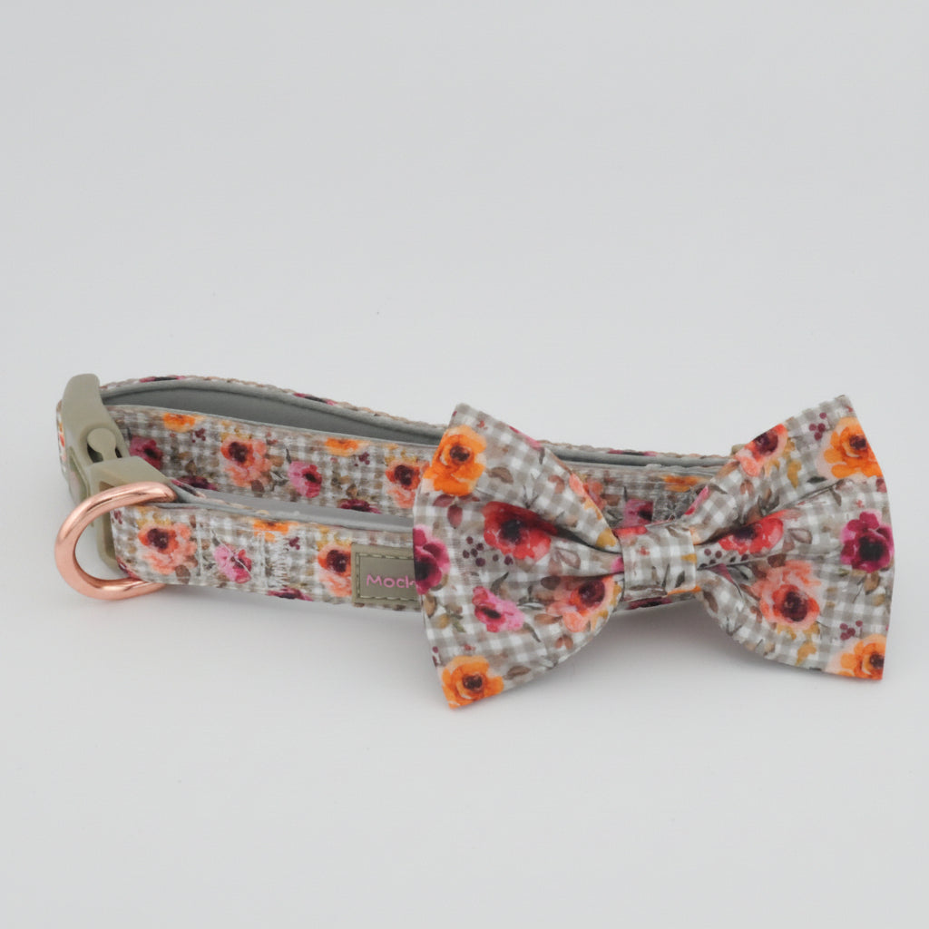 Pet Accessories