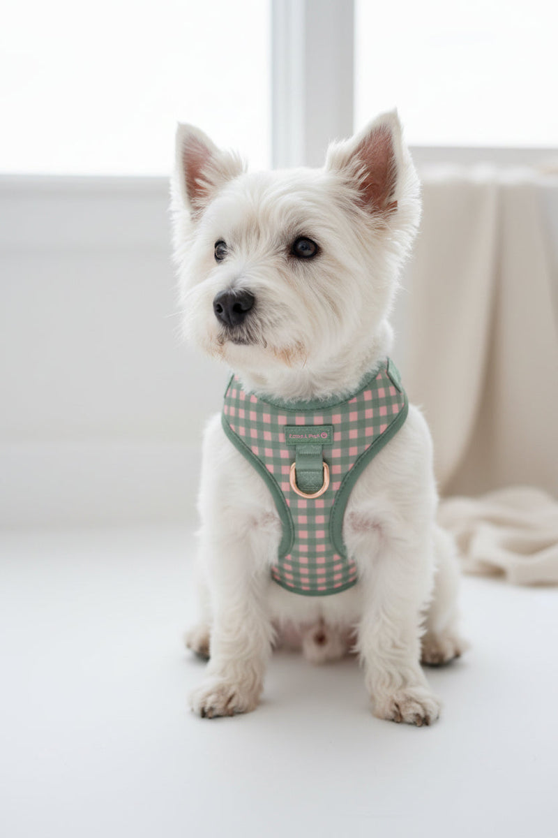 Picnic Gingham
