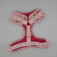 Berry Breakfast Harness