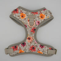 Jardin De Roses Harness
