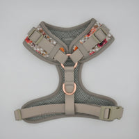Jardin De Roses Harness