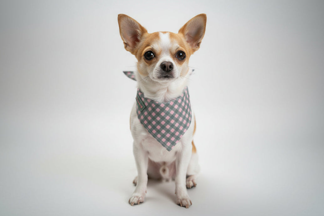 Picnic Gingham Dog Bandana