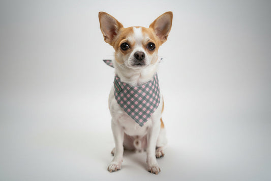 Picnic Gingham Dog Bandana