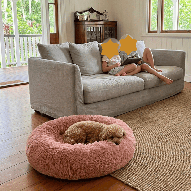 Lochlan L.,  Capalaba, QLD