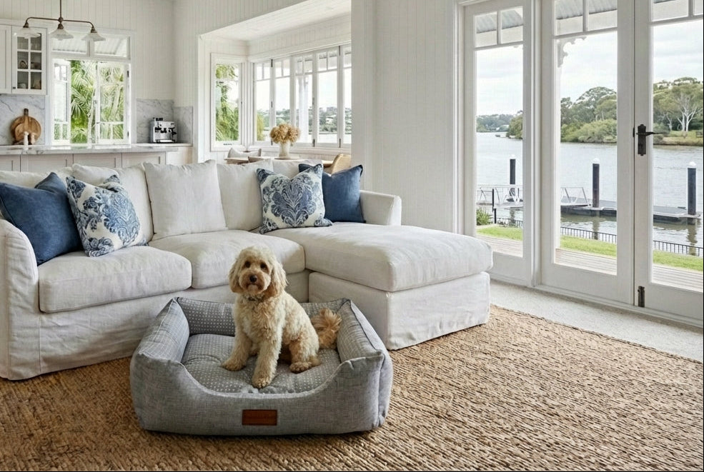 Arctic Dream Cooling Dog Bed - Gel Memory Foam Pet Bed