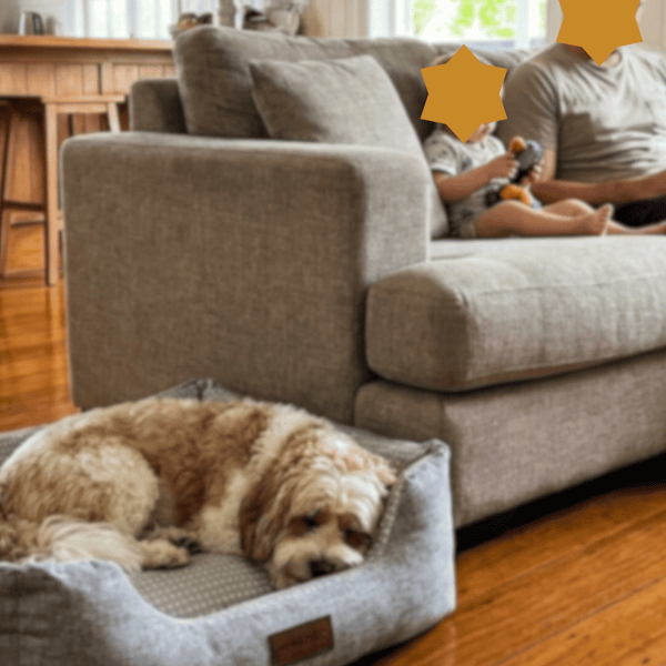 Emmy K., Ashgrove, QLD