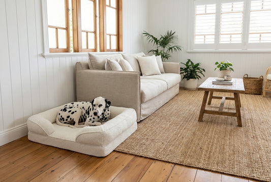 Marshmallow Boucle Cover for Day Dream Orthopaedic Dog Bed