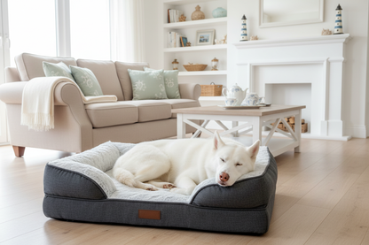 White Alaskan Husky in grey orthopaedic bed in luxurious Hamptons living room